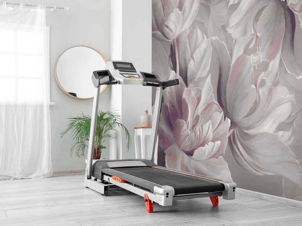 Grandes tulipes roses