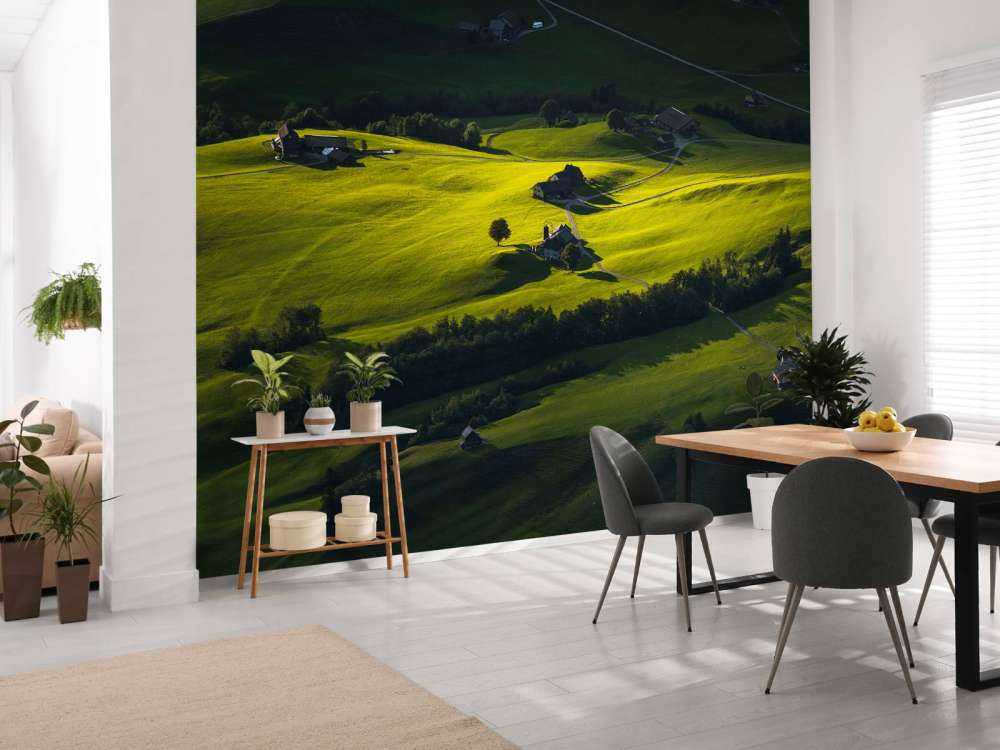 Collines vallonnées à la lumière du soir.