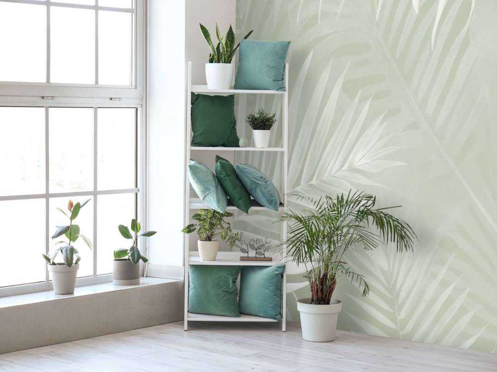 Feuilles de palmier brumeuses - vertes