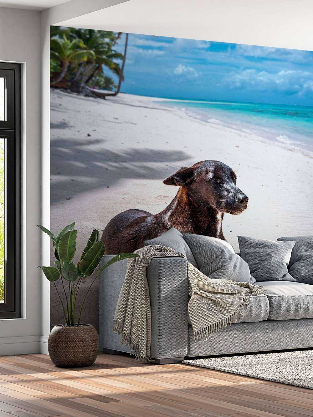 Chien noir sur une plage tropicale.