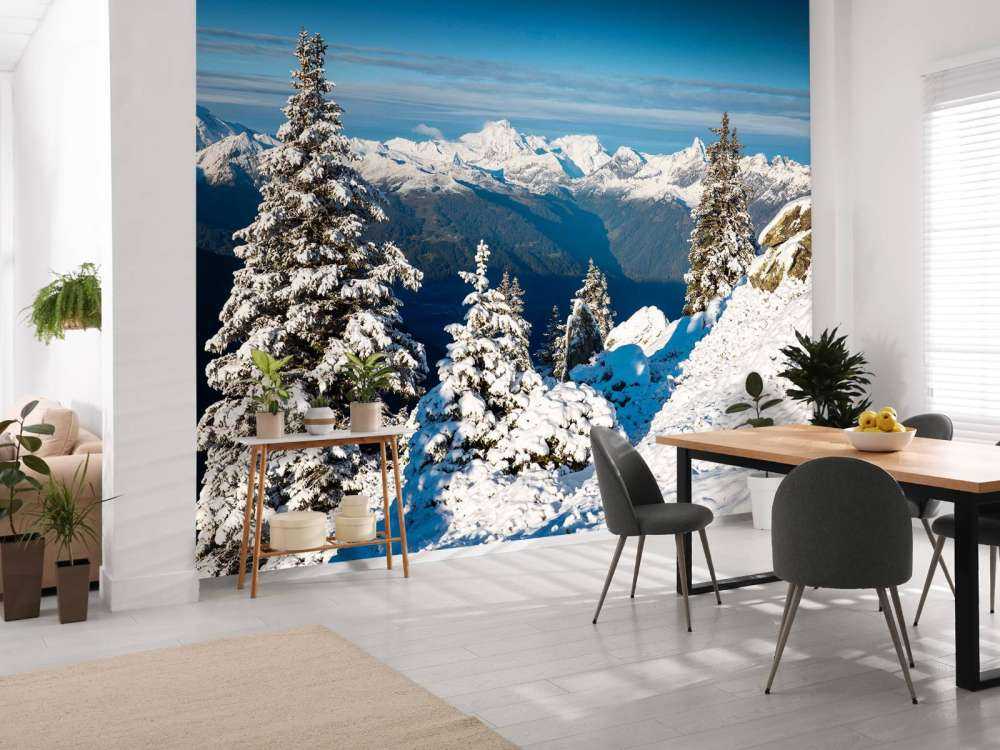 Pins enneigés avec vue sur la montagne