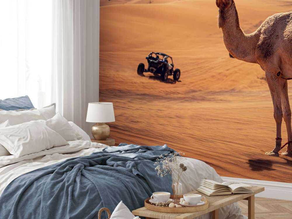 Aventure tout-terrain dans le désert