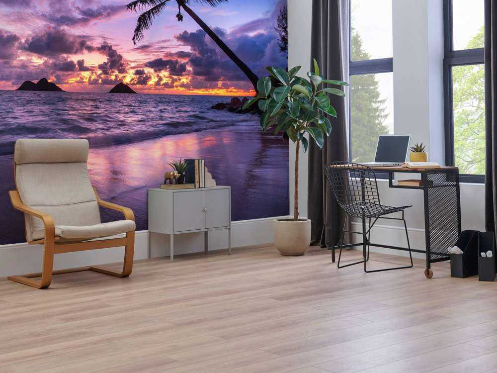 Côte tropicale au coucher du soleil violet