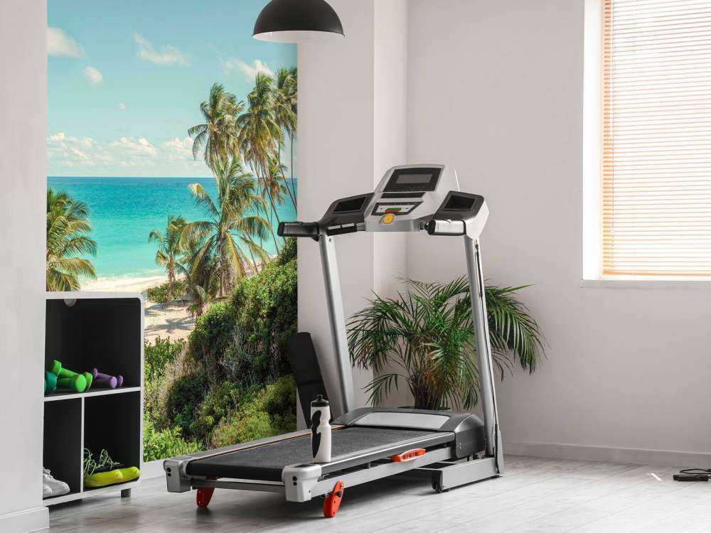 Palmiers sur la plage à la Barbade.