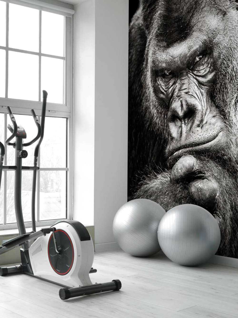 Gros plan d'un gorille