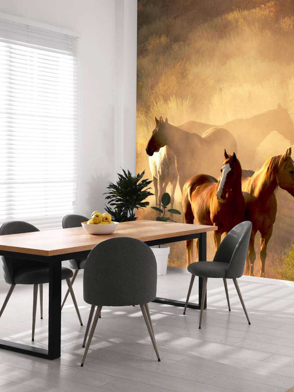 Chevaux au coucher du soleil