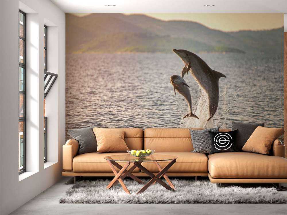 Deux dauphins qui sautent