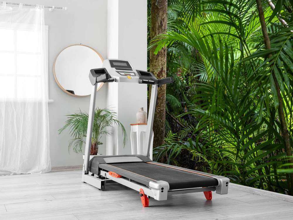 Forêt tropicale humide