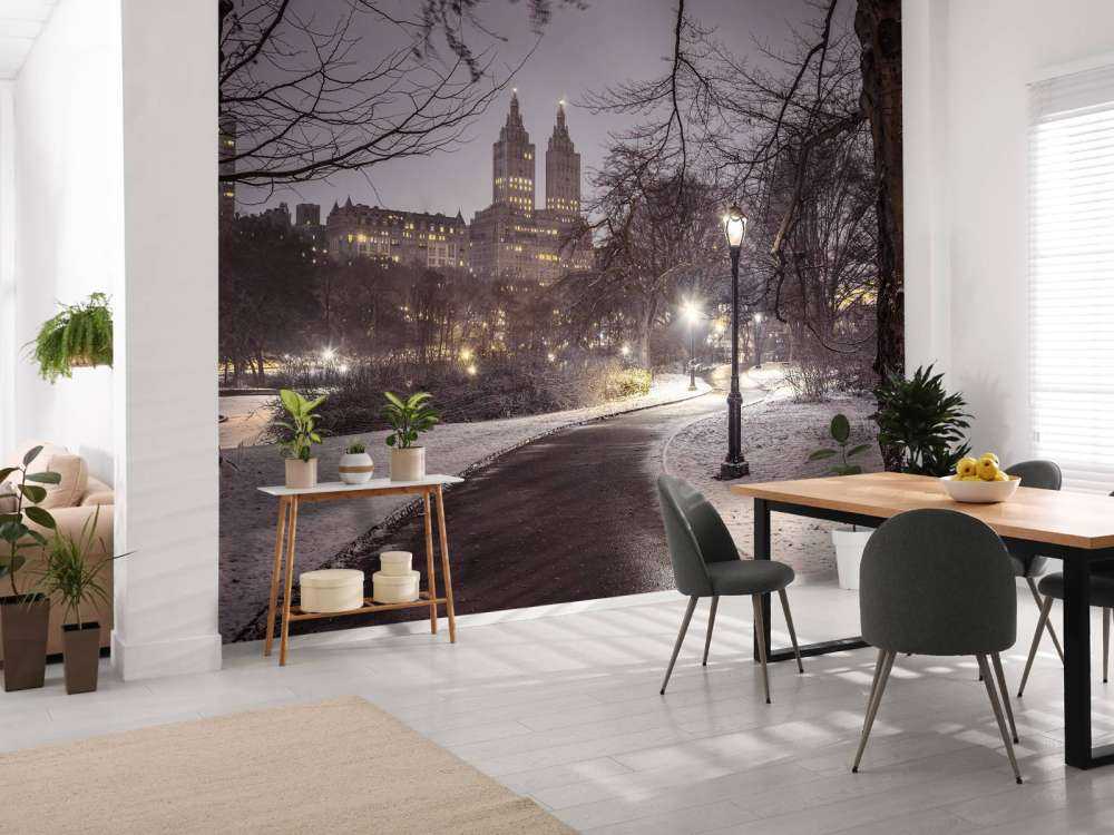 Central park couvert de neige