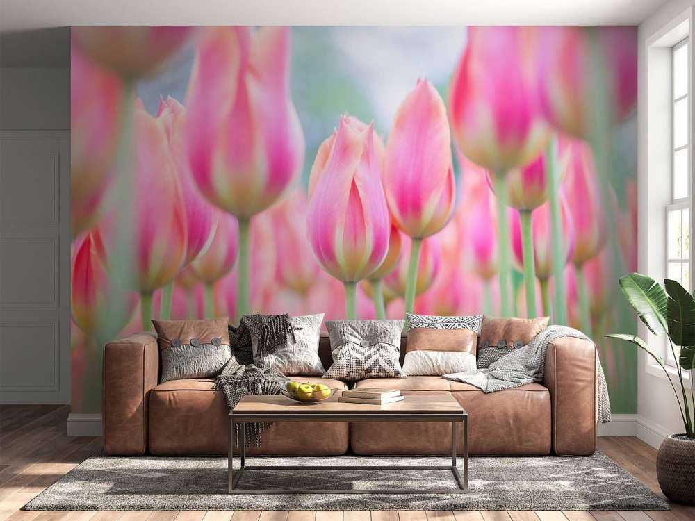Gros plan sur des tulipes roses