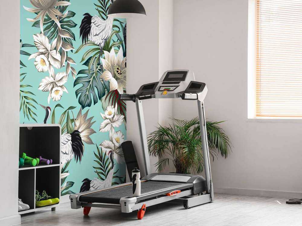 Grues couronnées et perroquets