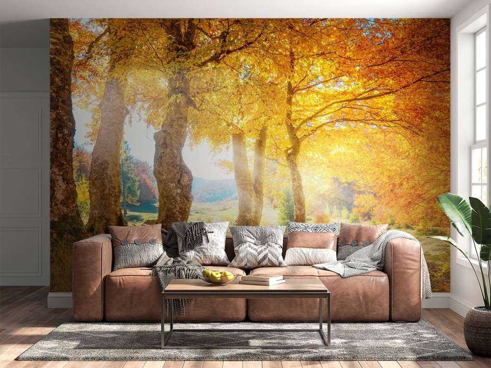 Chaleureux paysage d'automne