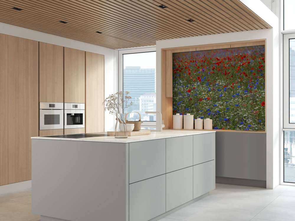 Champ plein de coquelicots