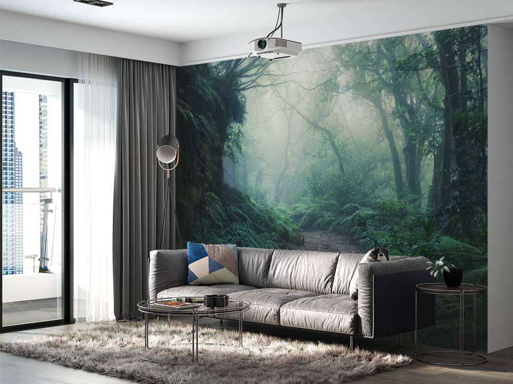 Forêt verte et brumeuse