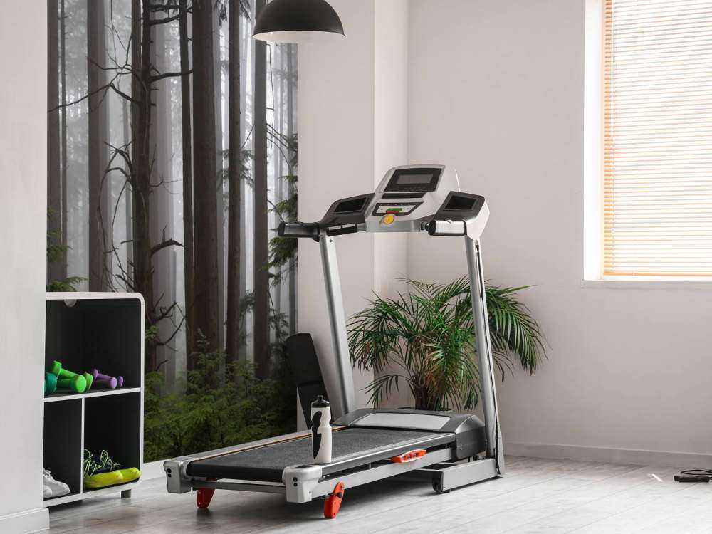 Forêt par temps de brouillard