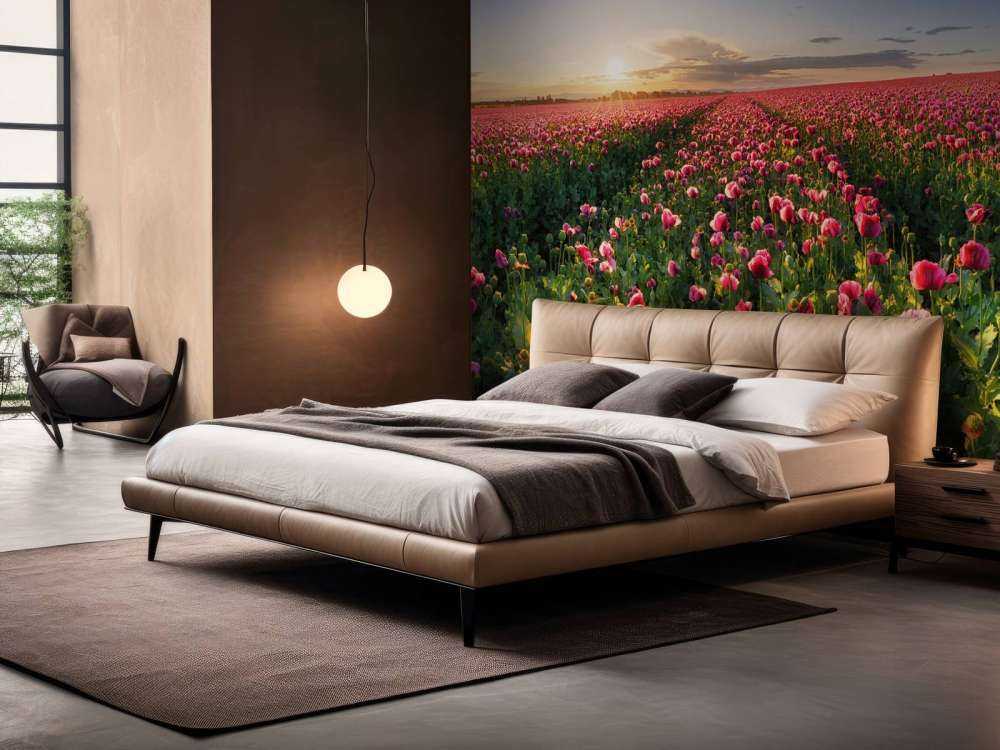 Champ de coquelicots roses