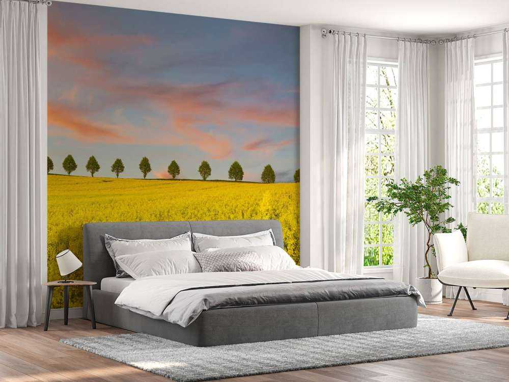 Champ plein de fleurs jaunes