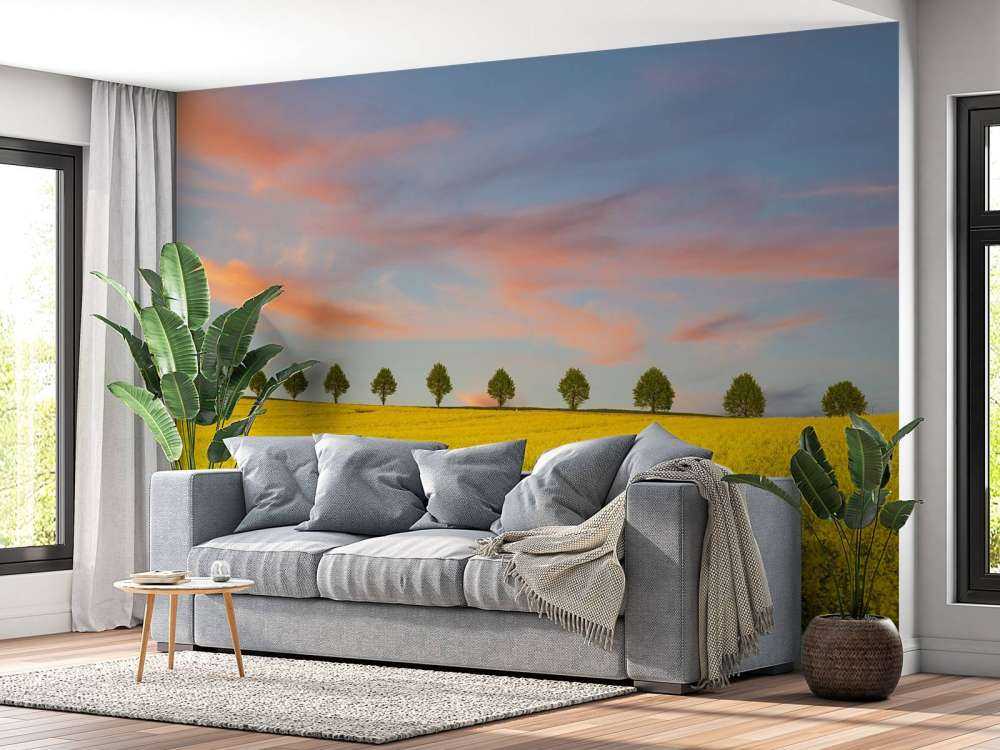 Champ plein de fleurs jaunes