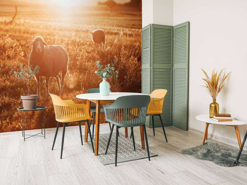 Moutons dans un beau pâturage