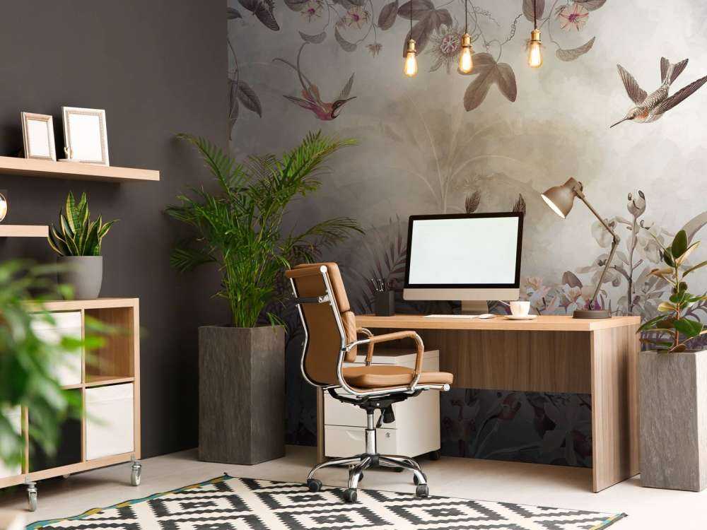 Tropic and Orchids 9