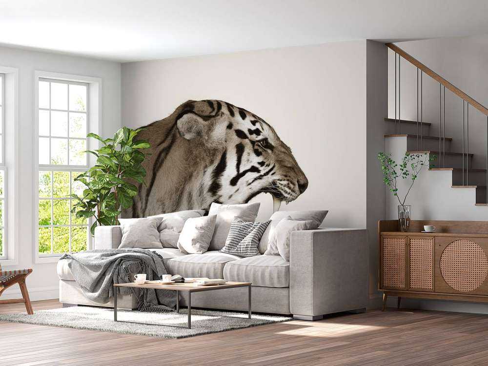 Tigre rugissant blanc