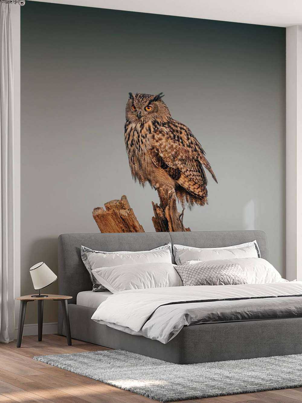 Hibou grand-duc