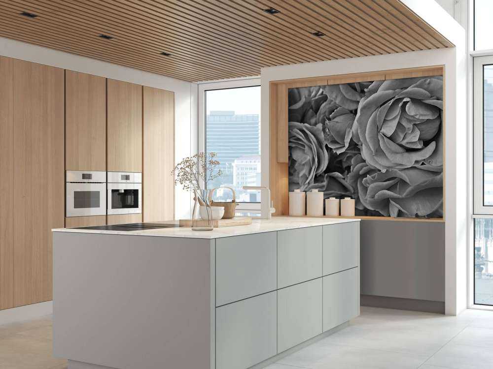 Les roses en noir et blanc