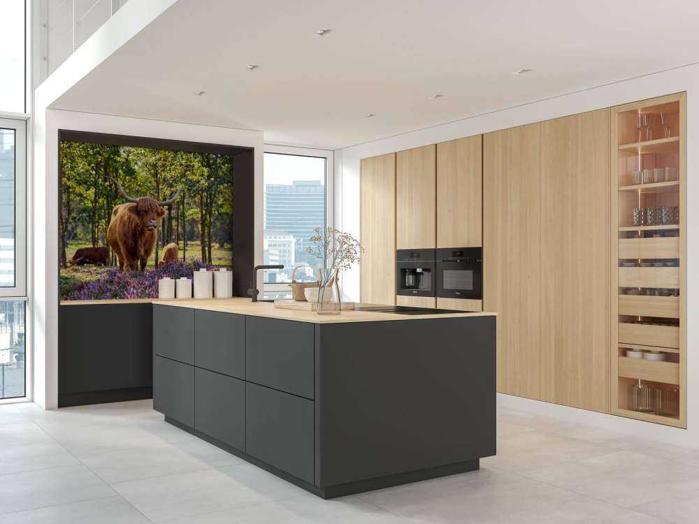 Les Highlands dans une réserve naturelle