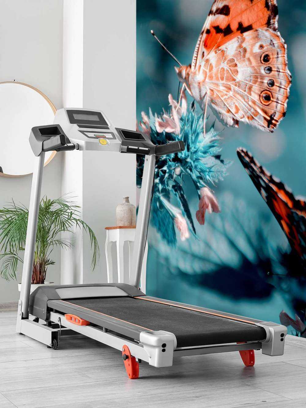 Les papillons de l'orange