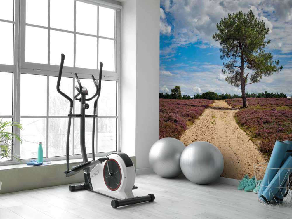 Un arbre dans la bruyère