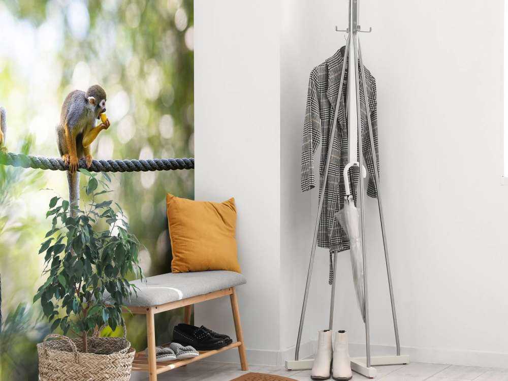 Singes écureuils sur corde