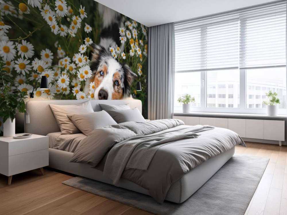 Un berger australien parmi les fleurs