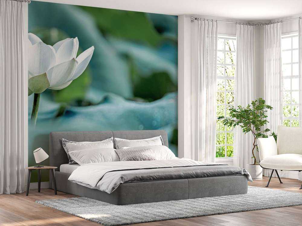 Fleur de lotus blanc