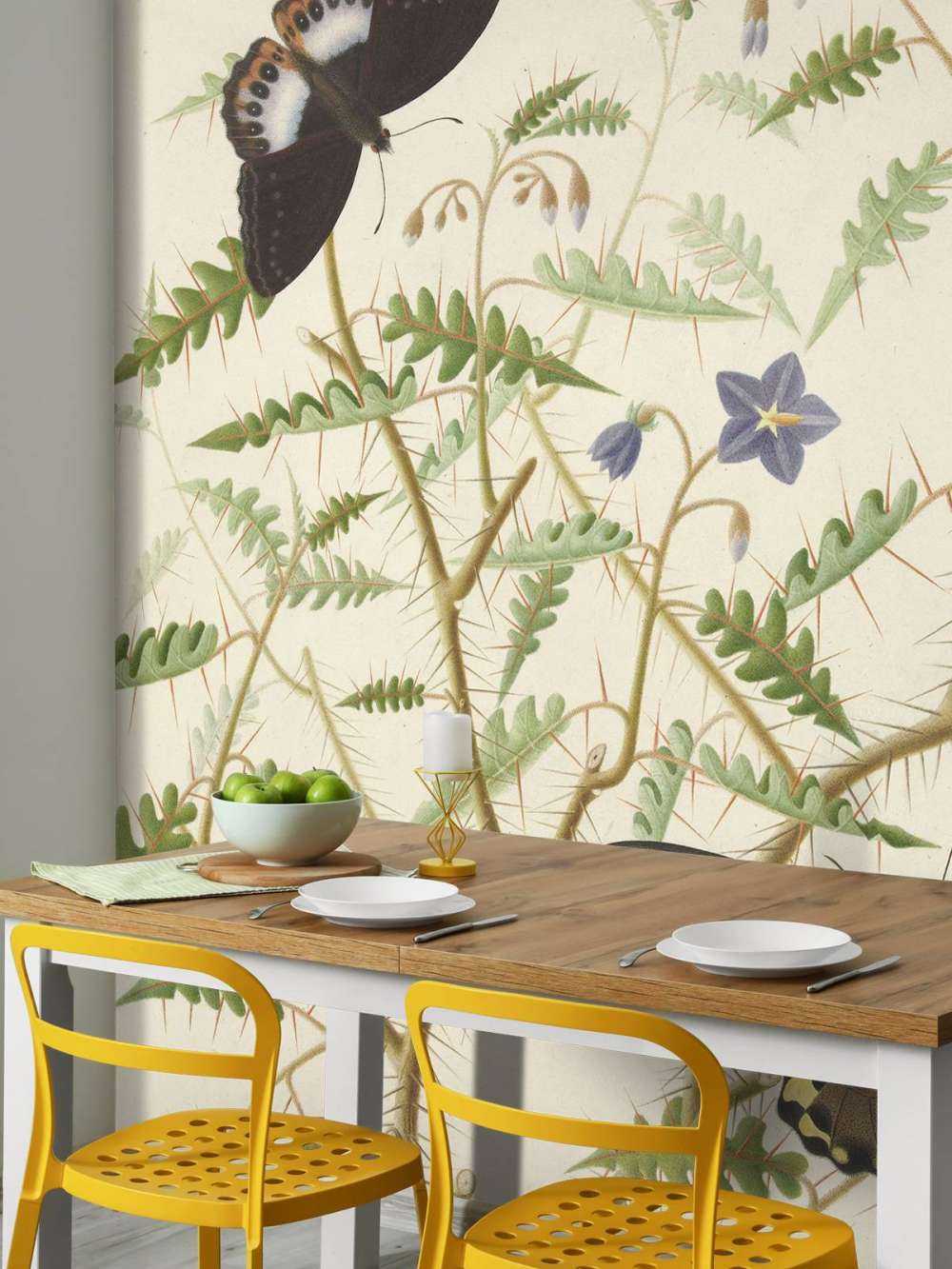 Un arbuste en fleurs avec deux papillons exotiques