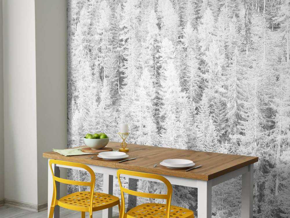 Les conifères en noir et blanc