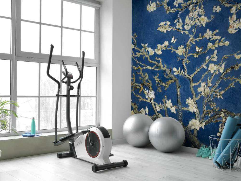 Fleur d'amandier dans la nuit