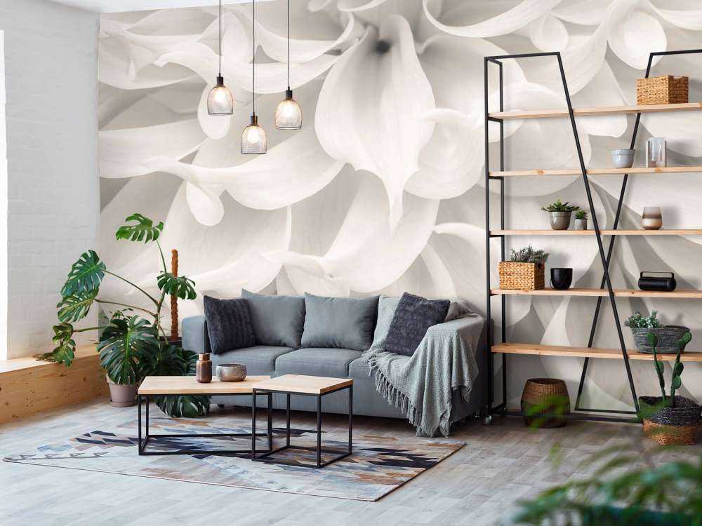 Gros plan sur une fleur de dahlia