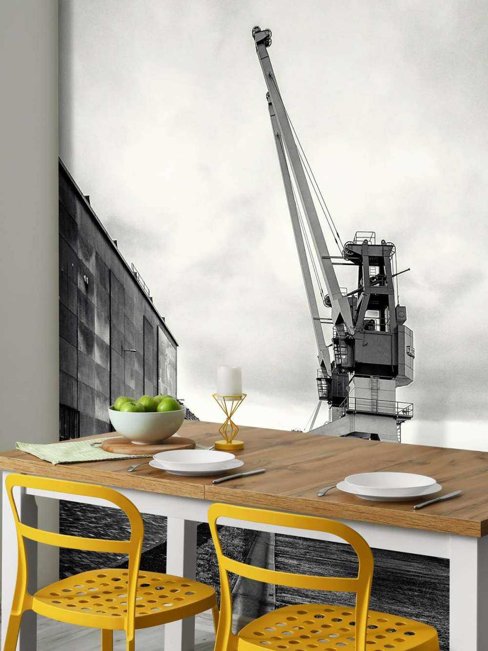 Grue portuaire sur l'ancien site RDM Heijplaat Rotterdam 