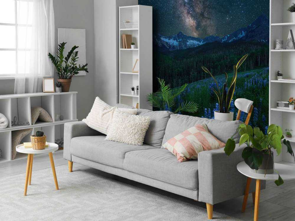 Milky Way over Lupine Slope