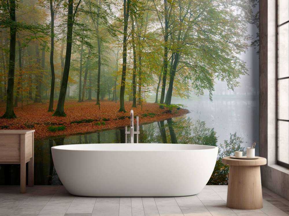 Réflexion d'arbres dans un étang