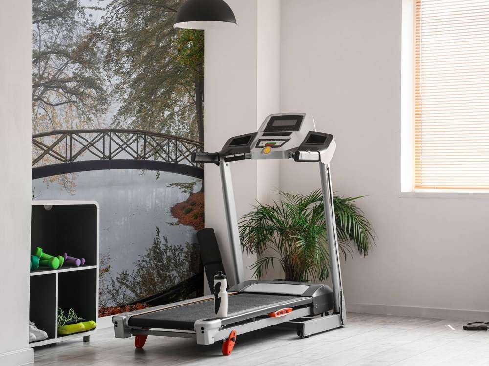 Petit pont entre les arbres