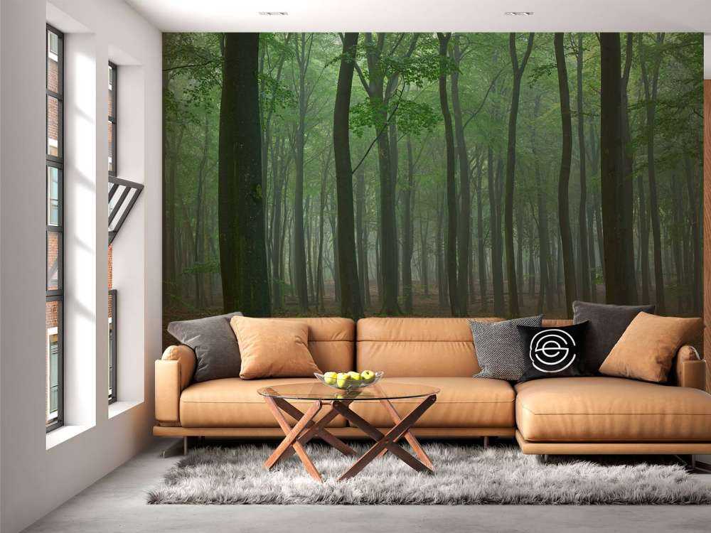 Brouillard dans la forêt