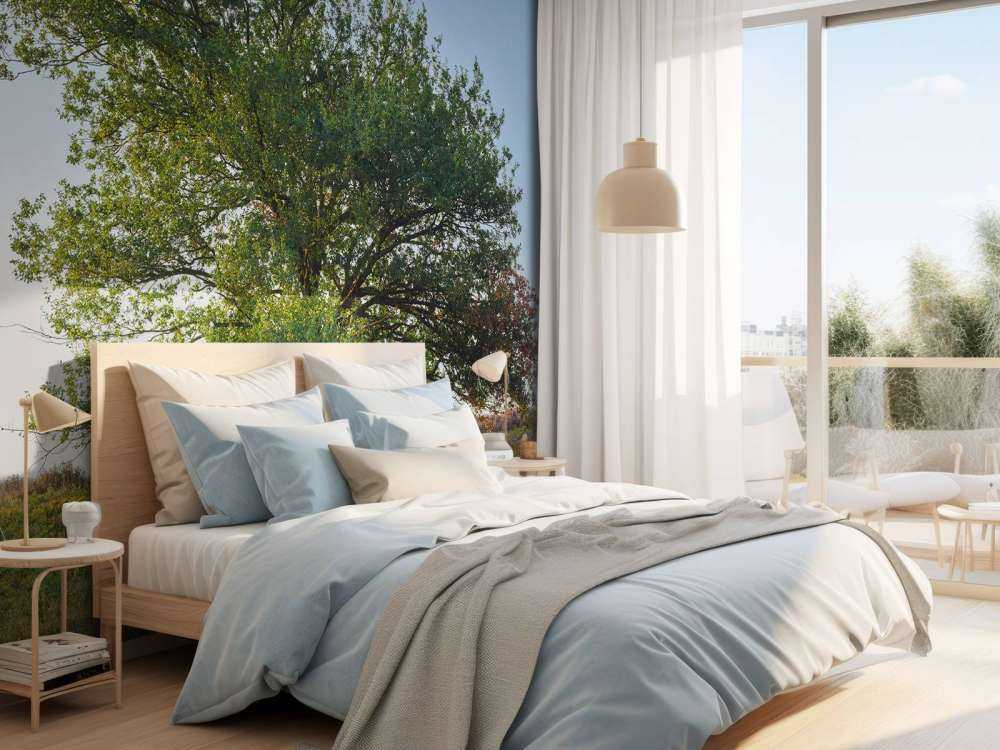 Arbre solitaire sur la lande