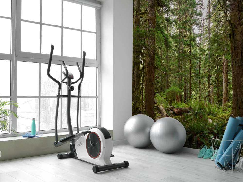 Forêt verte sauvage