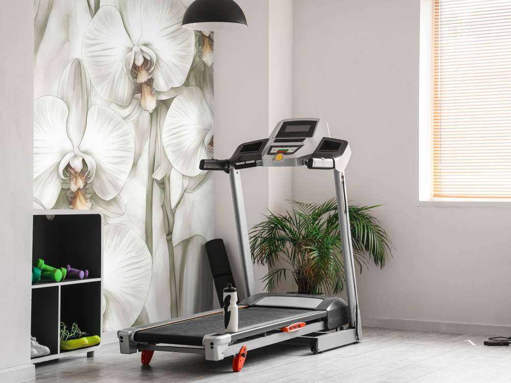 Paradis des Orchidées Jaunes