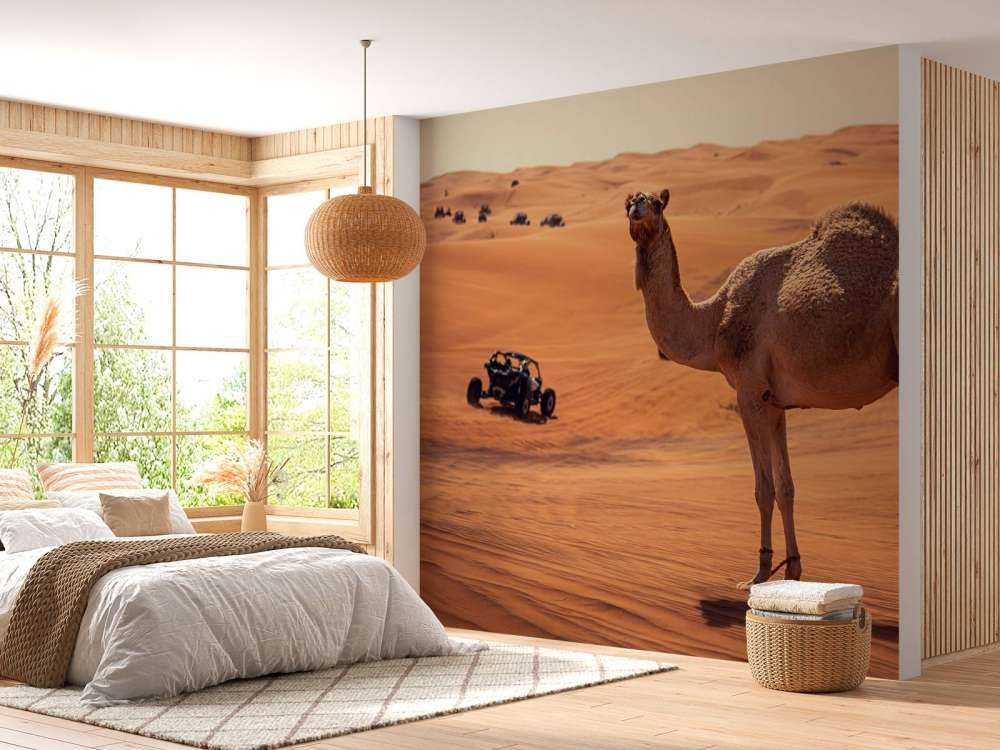 Aventure tout-terrain dans le désert