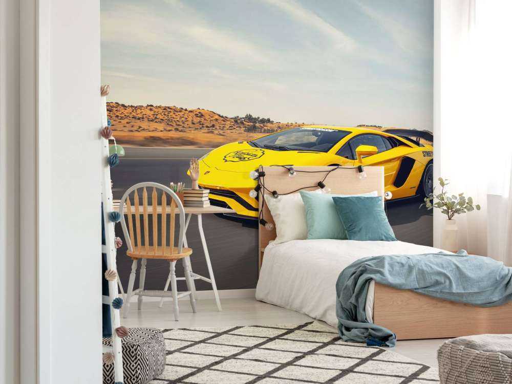 Lamborghini Aventador en action