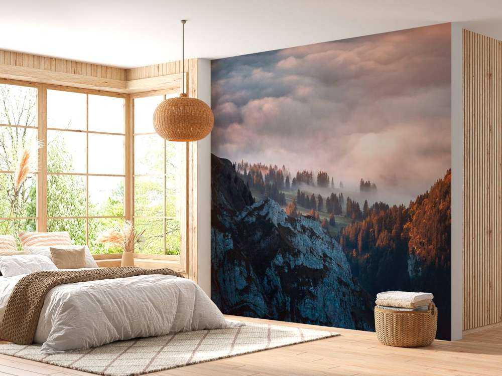 Lisière de forêt dans la brume du matin.