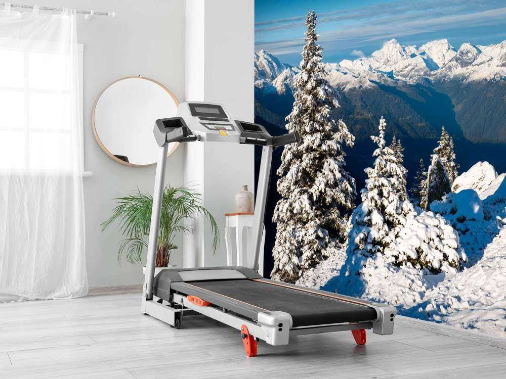 Pins enneigés avec vue sur la montagne