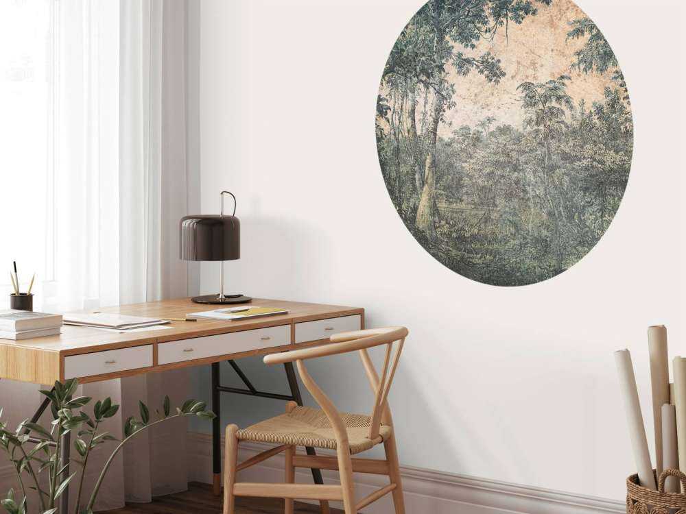 Panorama de forêt tropicale altérée